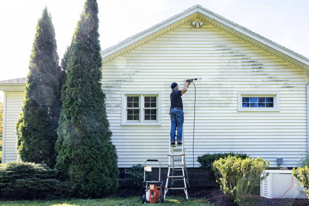Best Soft Washing for Delicate Surfaces in Reynolds Heights, PA
